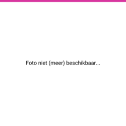 Kandidaat 2